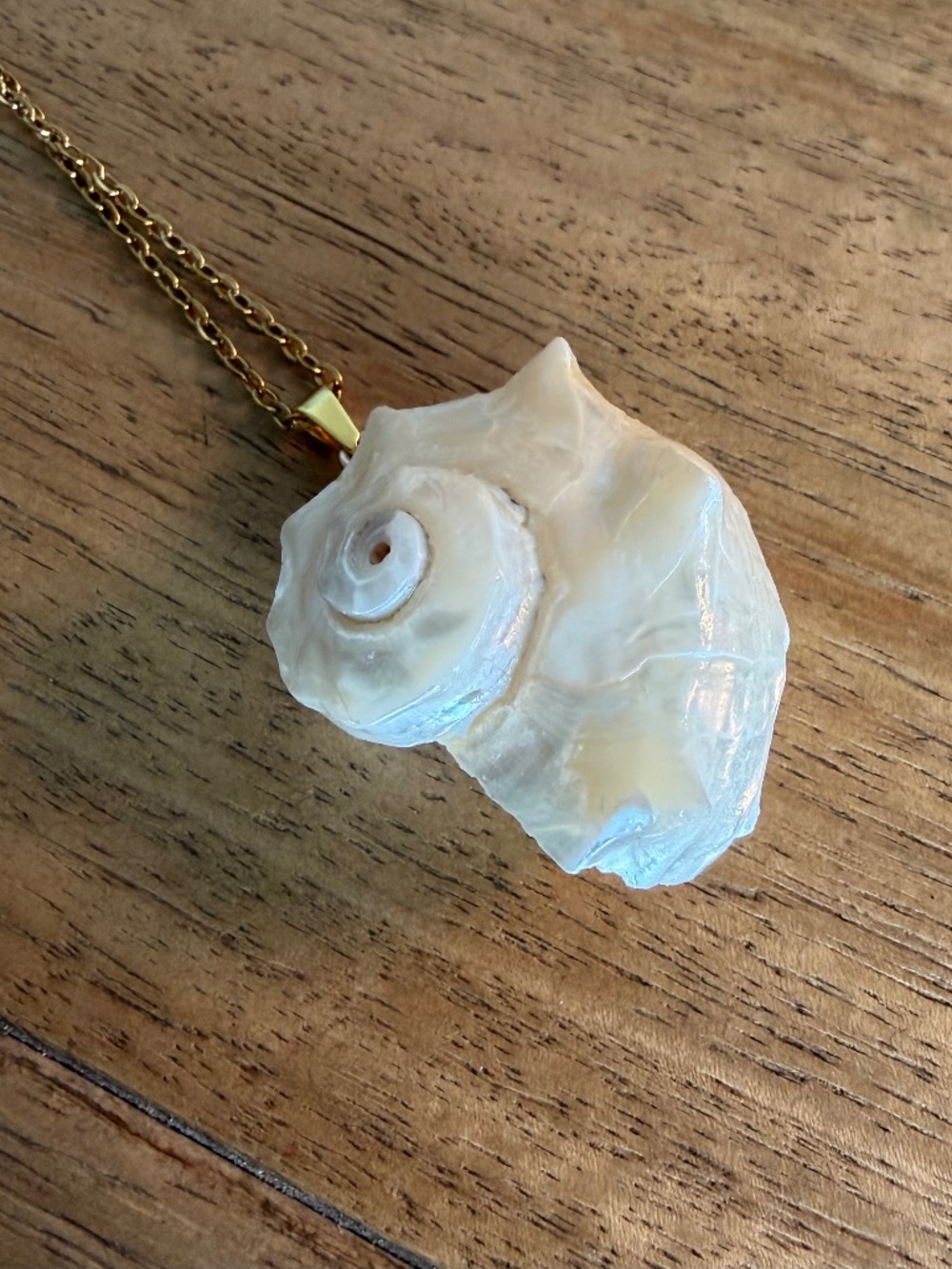 Seashell Necklace